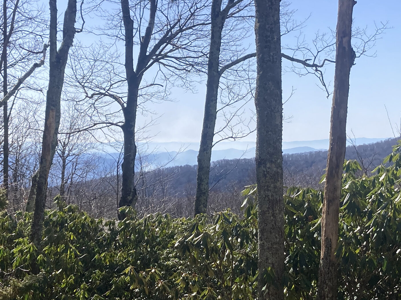 Mountain view 2